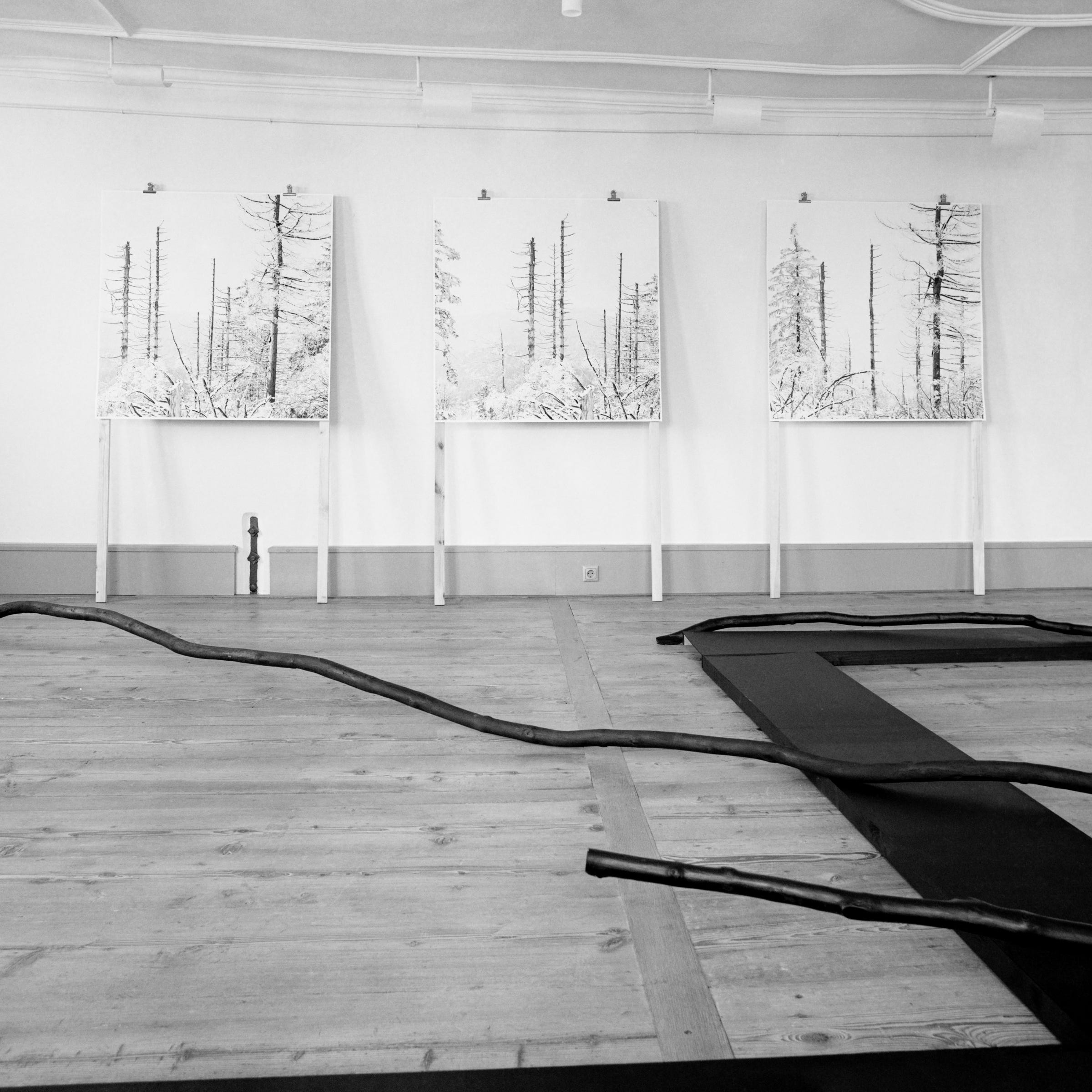 Exhibition Ist-Zustand | KV Oberer Neckar | Horb