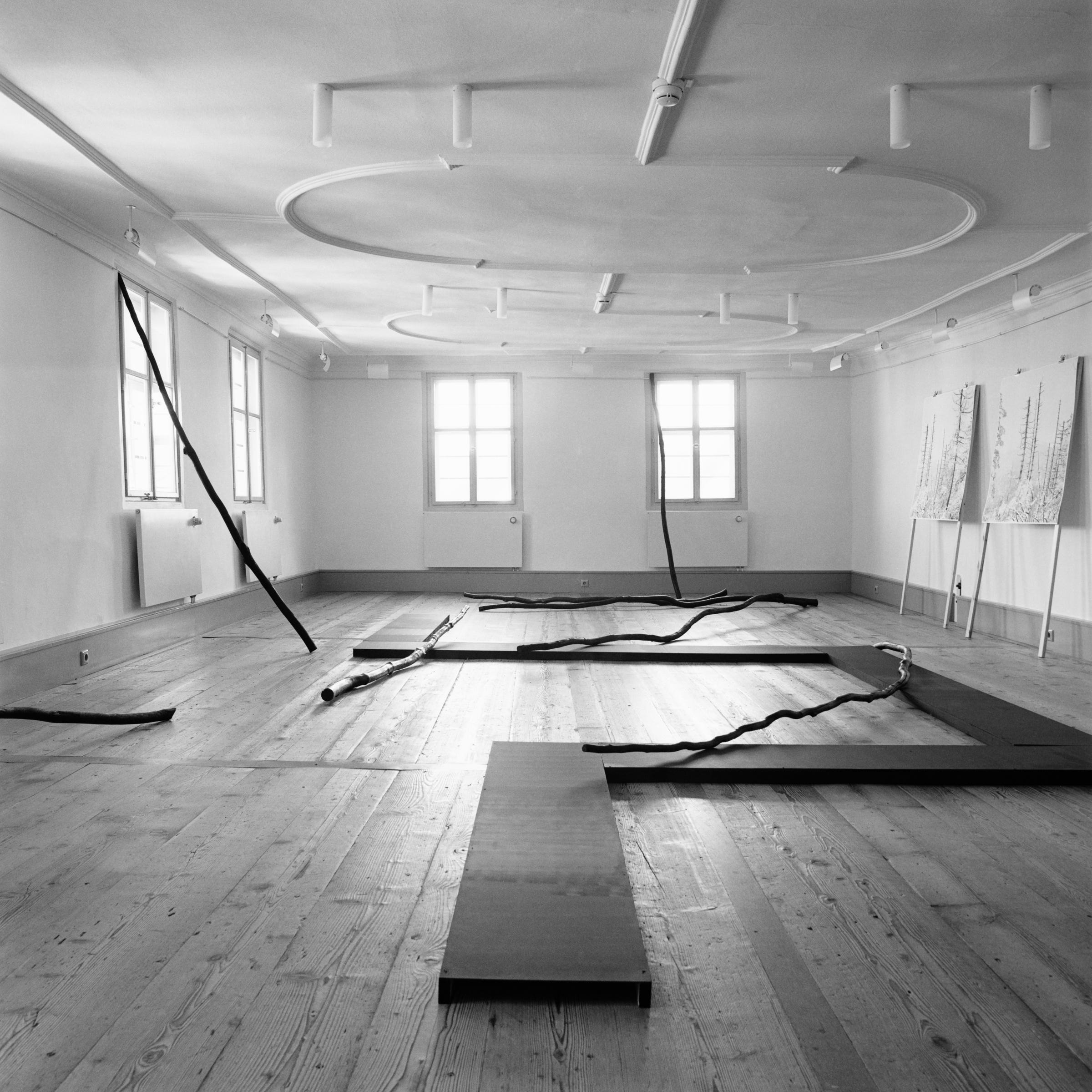 Exhibition Ist-Zustand | KV Oberer Neckar | Horb