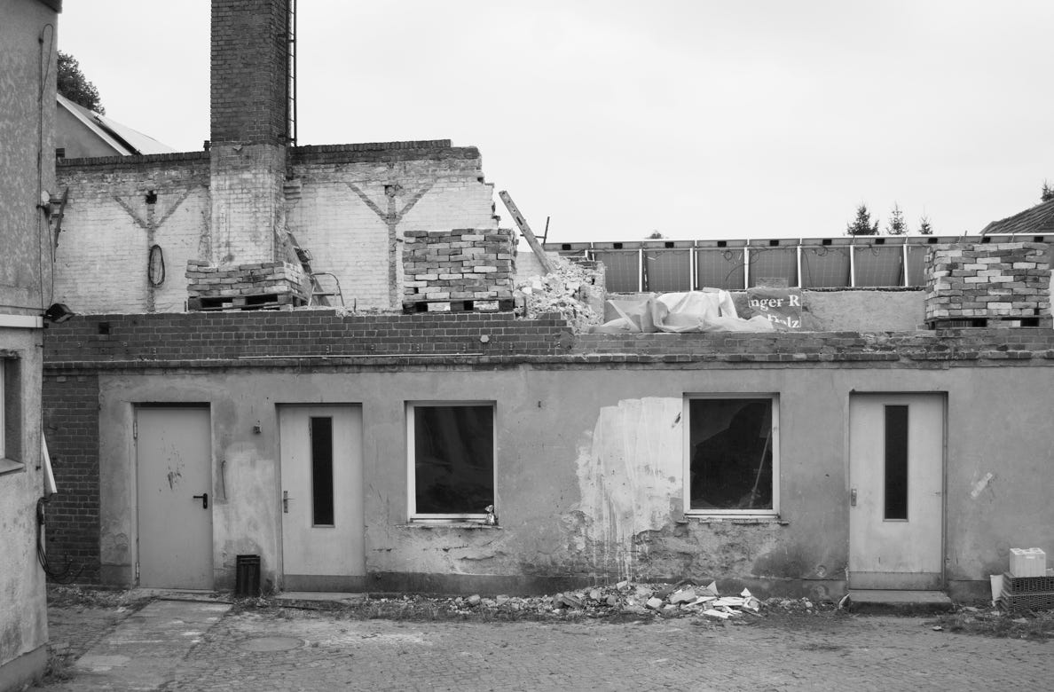 Witness: the face and voice of memory